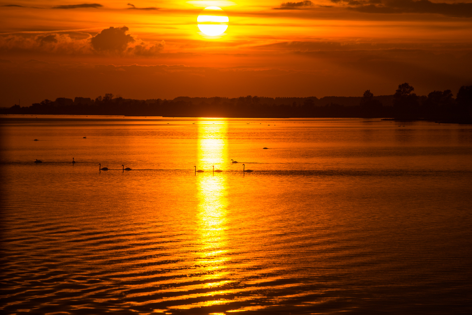 20160920 185758 Kranichtour nach Pramort Darß